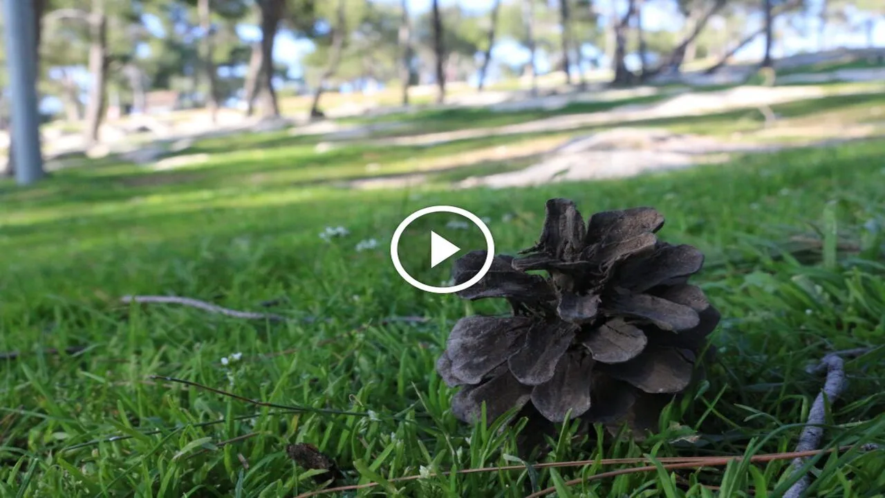 تقلبات جوية.. الأرصاد الجوية توضح توقعات حالة الطقس خلال شهري فبراير ومارس